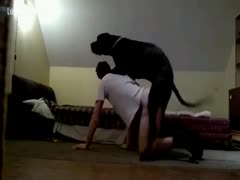 Cock craving stud getting pounded in his booty by a large dark dog